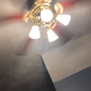 Meet your Posher, Logan